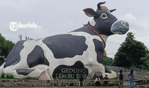 AA22qlj7.jpg