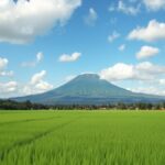 Ilustrasi langit cerah berawan di atas hamparan sawah dan gunung